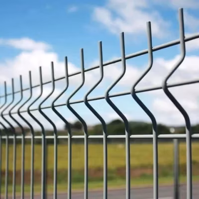 Pannello di recinzione in rete metallica curva 3D rivestito in polvere di fabbrica cinese per pannello di recinzione da giardino a traliccio per recinzione da giardino