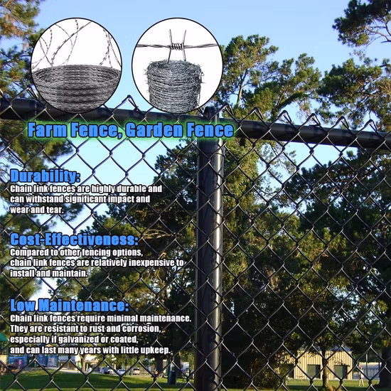 Recinzione a catena con recinzione a ciclone con foro diamantato in rete metallica rivestita in PVC zincato